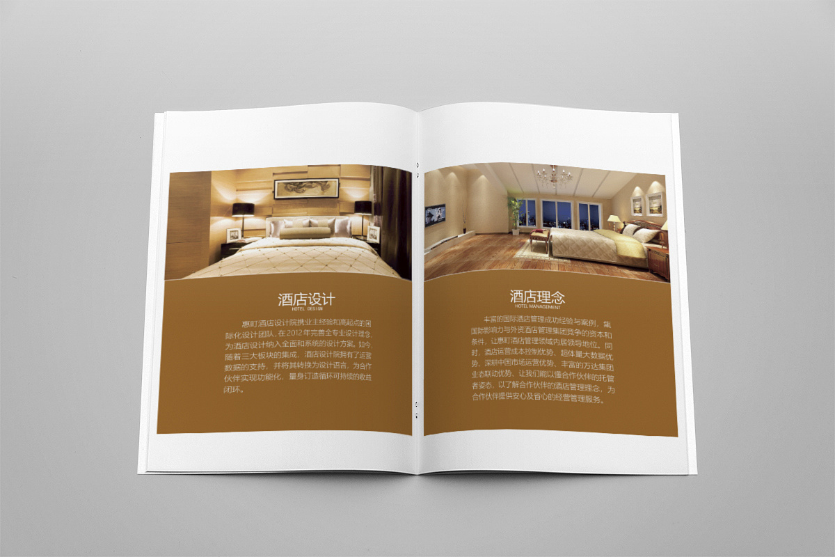 酒店產(chǎn)品宣傳畫冊設計,五星級酒店宣傳畫冊制作,賓館宣傳手冊