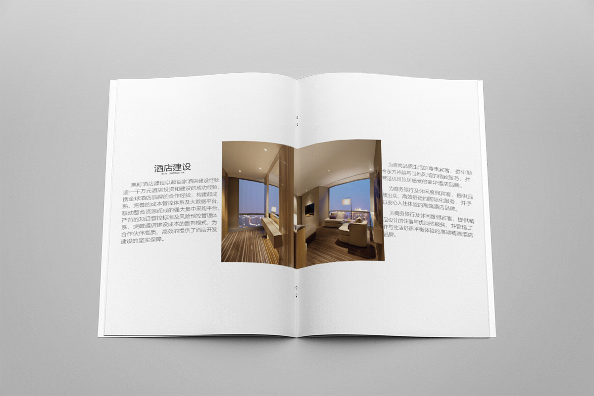 酒店產(chǎn)品宣傳畫冊設計,五星級酒店宣傳畫冊制作,賓館宣傳手冊